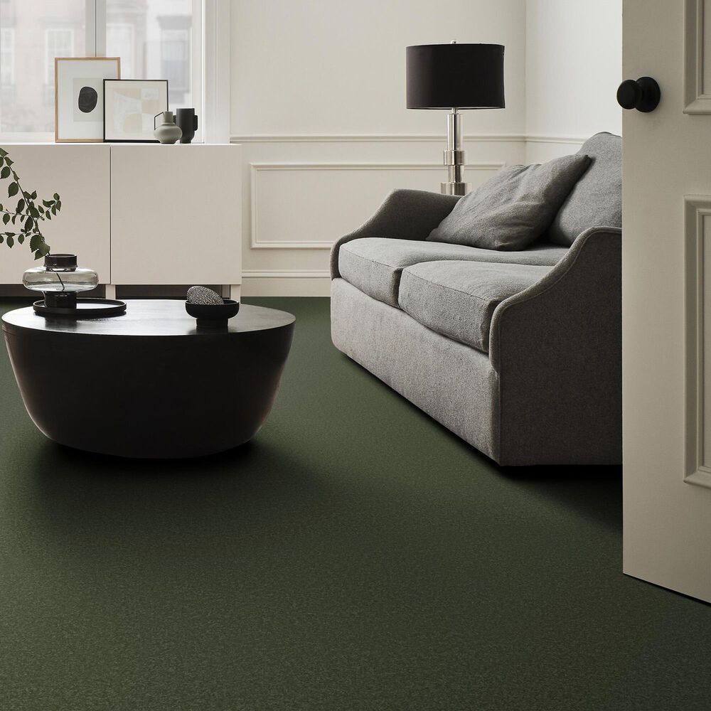 Anderson Tuftex Elegant Beauty Carpet in Bereyl, , large