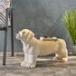 Hearth and Haven Outdoor MGO Dog Bench in Light Brown, , large
