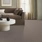 Anderson Tuftex Charismatic Carpet in Toasty Gray, , large
