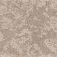 Anderson Tuftex Caress Free Spirit Carpet in Sandstone, , large