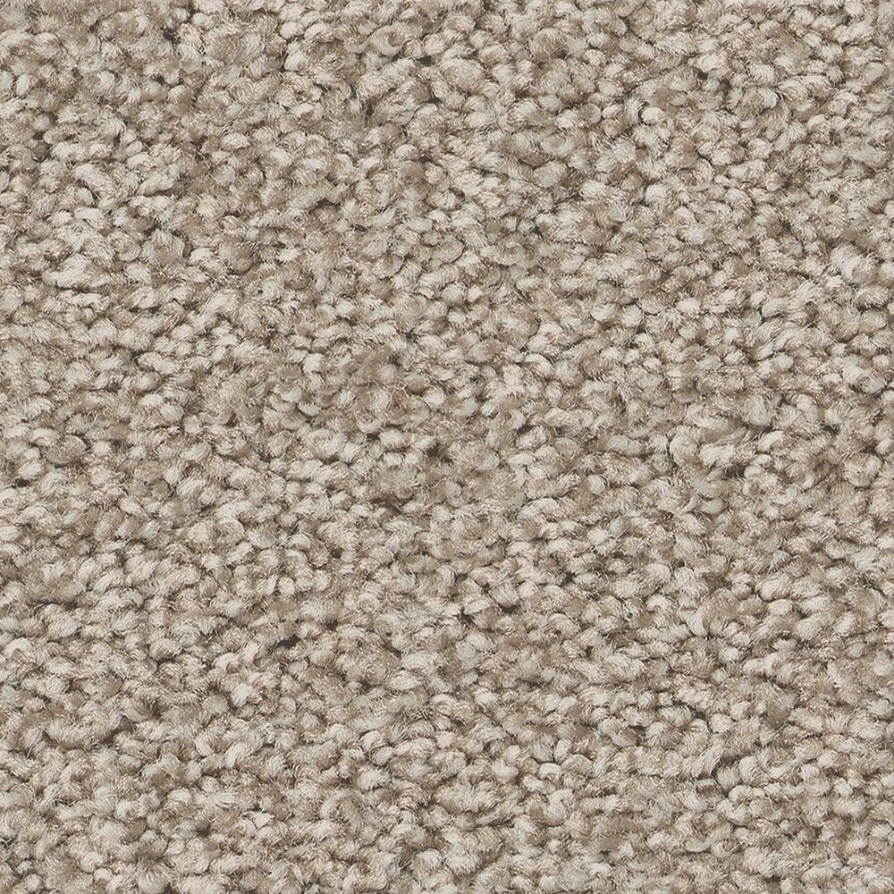 Shaw Del Rio I Carpet in Fossil Path, , large