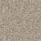 Shaw Del Rio I Carpet in Fossil Path, , large