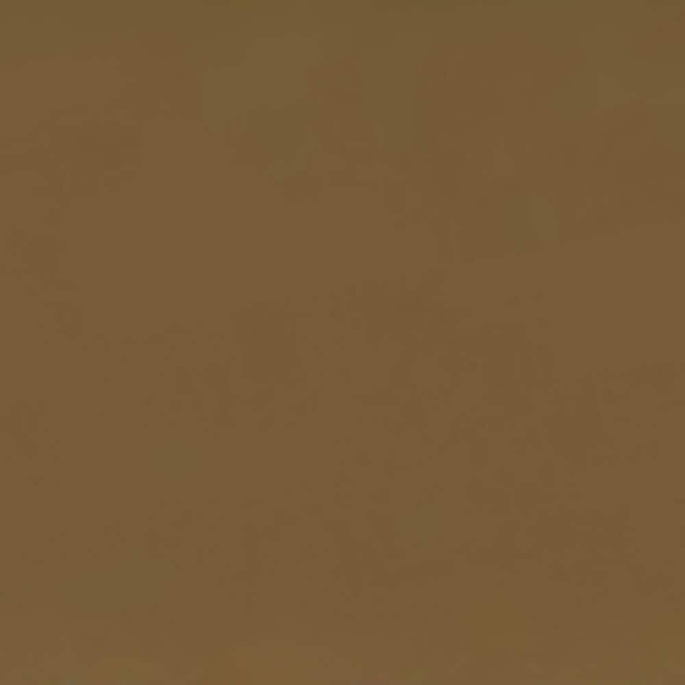 Furniture of America Rosadale Full X-Cross Canopy Bed in Gold, , large