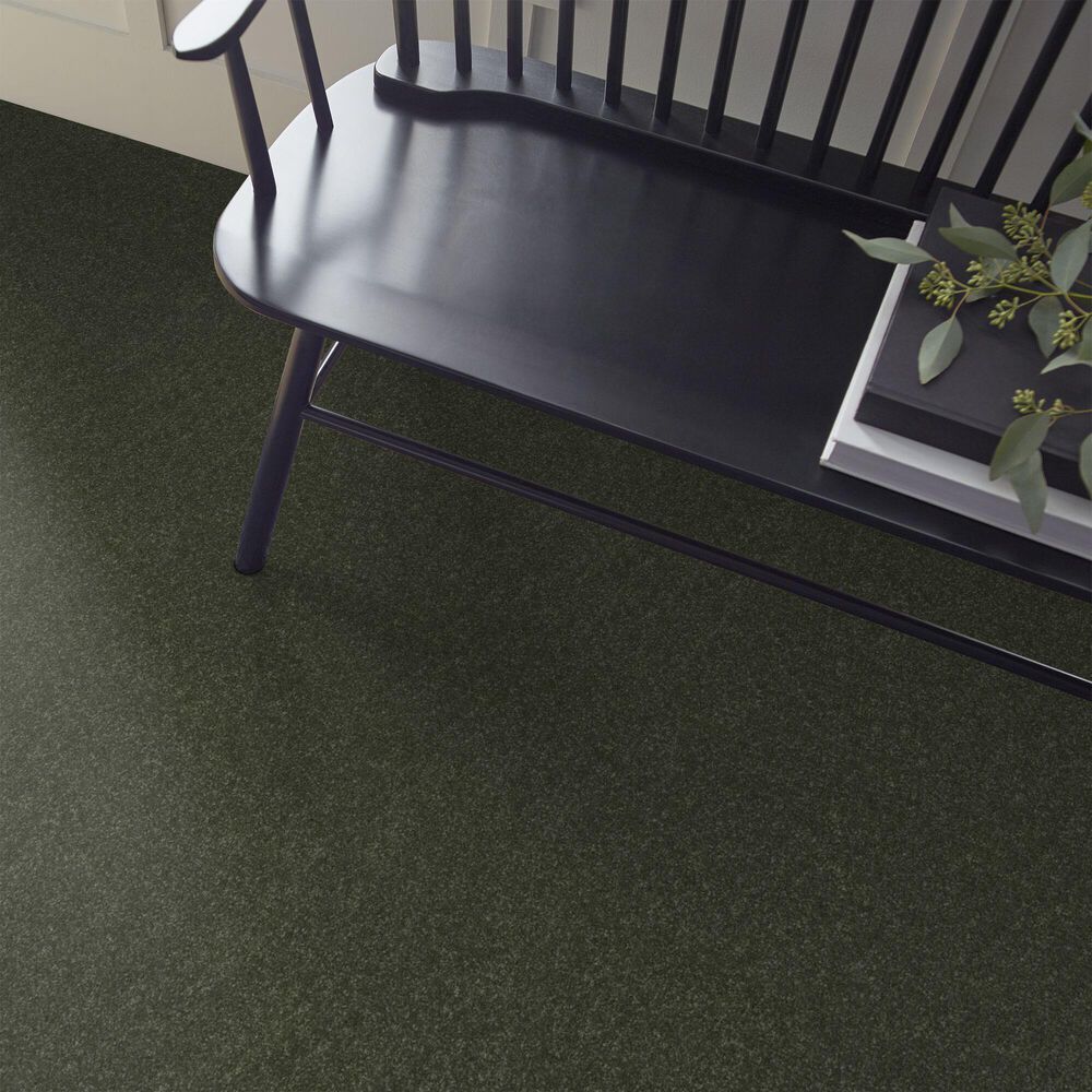 Shaw Hard At Play Iii Carpet in Rerooted Nature, , large