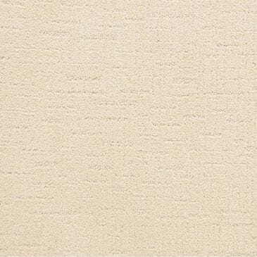 Dixie Home Courage Carpet in Adore, , large