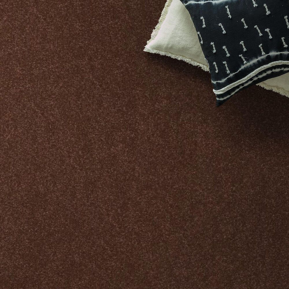 Shaw Hard At Play II Carpet in Orange Oxide, , large