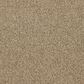Dixie Home Big Splash Carpet in Seahorse, , large