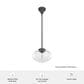 Hunter Saddle Creek 10" 1-Light Pendant with Clear Seeded Shade in Noble Bronze, , large