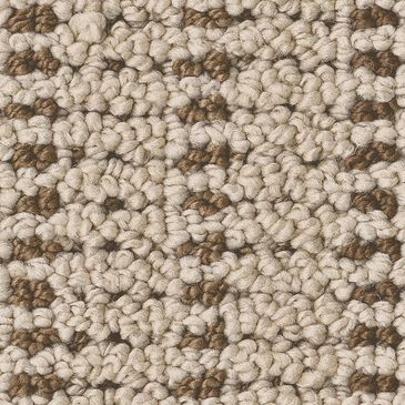 Anderson Tuftex Laken Carpet in Beach House, , large