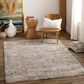 Surya Aspendos 6"7" x 9"6" Denim, Gray, Wheat, Taupe, Black and Cream Area Rug, , large