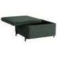 Lifestyle Solutions Kona Large Storage Ottoman in Green, , large