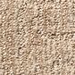 Shaw Wanderer Carpet in Arizona Tan, , large