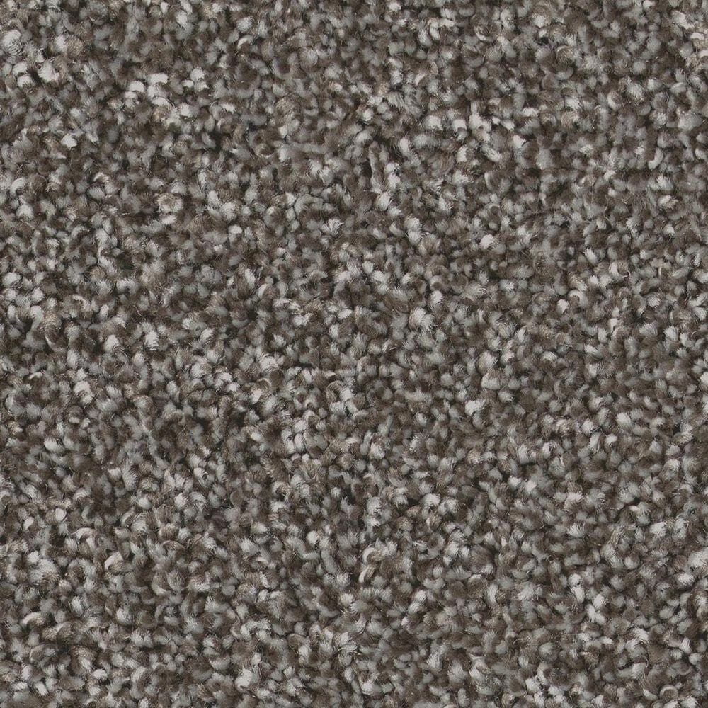 Shaw Imaginable III Carpet in Sparrow, , large