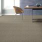 Shaw Find Your Comfort TA I Carpet in Bocce Ball Game, , large
