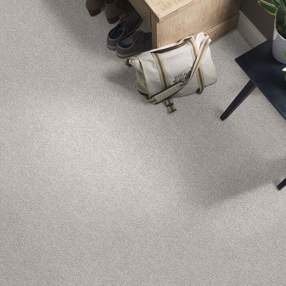 Shaw Just Right I Carpet in Clay, , large