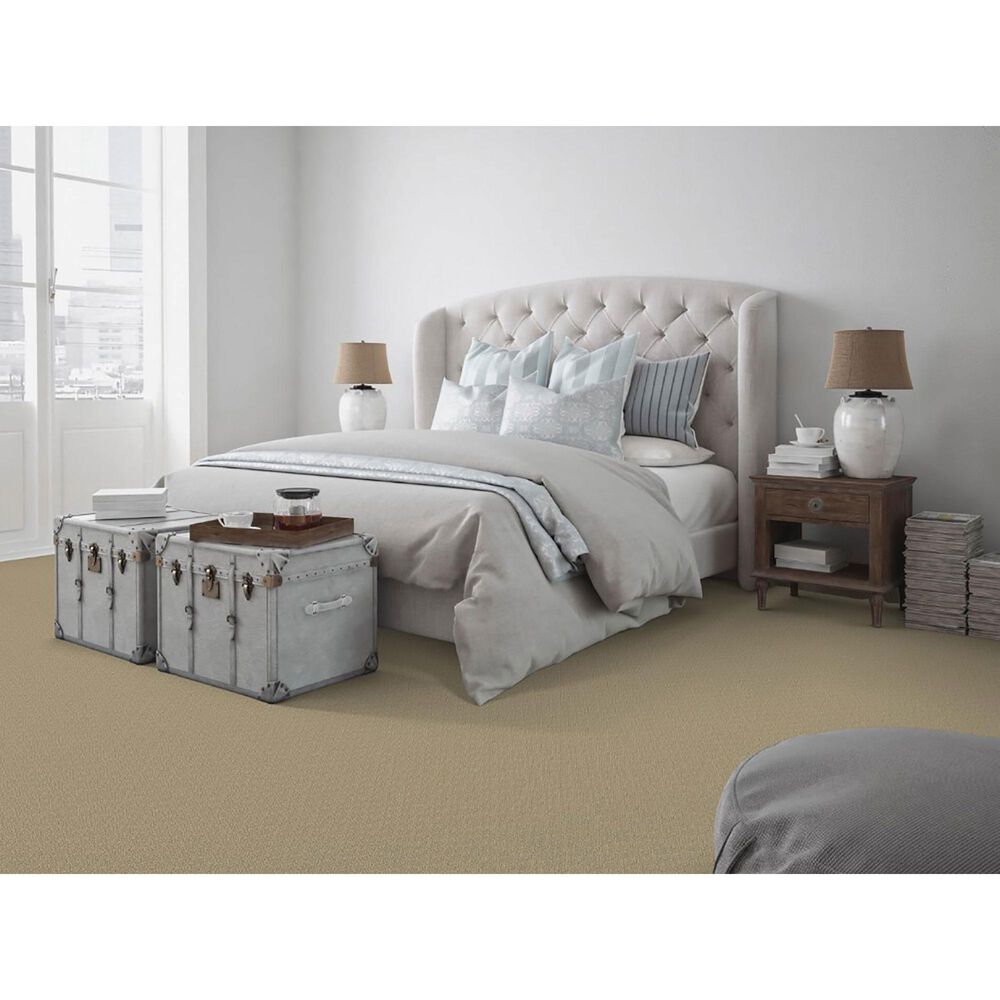 Dixie Home Culture Carpet in Avenue, , large