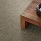 Anderson Tuftex Diego Carpet in Sandlot, , large
