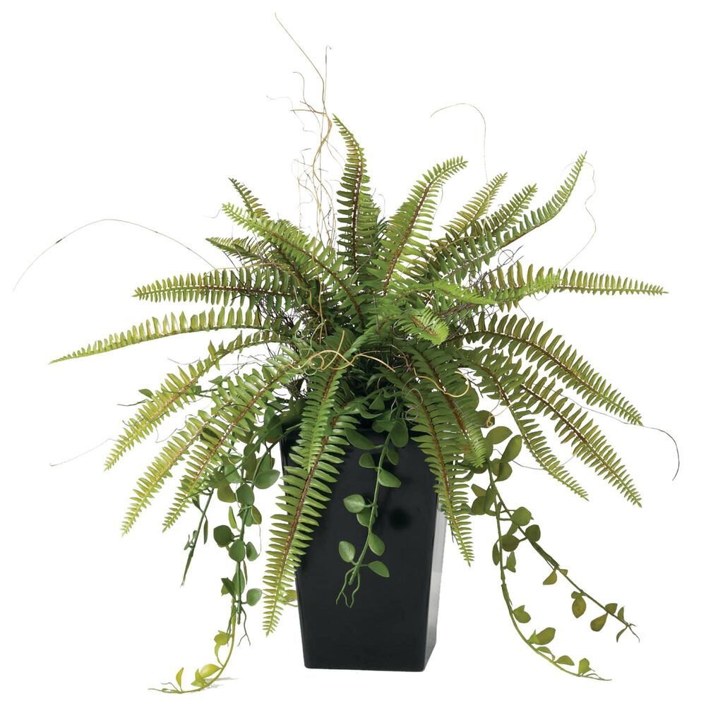 Sullivan Potted Fern Greenery in Green, , large