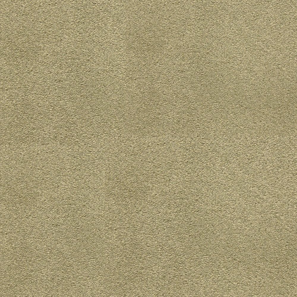 Dixie Home Neverland Carpet in Willow, , large