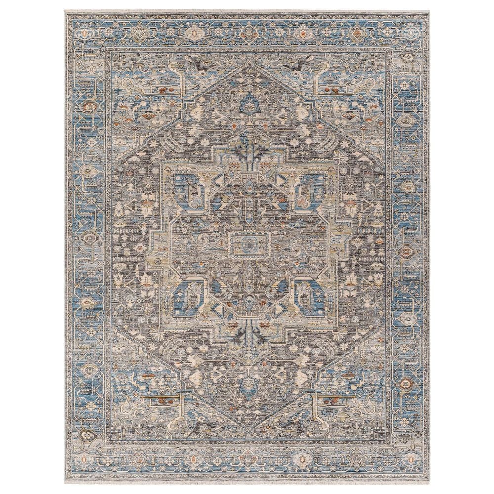 Surya Chicago CHG2313 8"10" x 12"7" Slate, Black, Light Beige, Charcoal, Blue,Grey Area Rug, , large