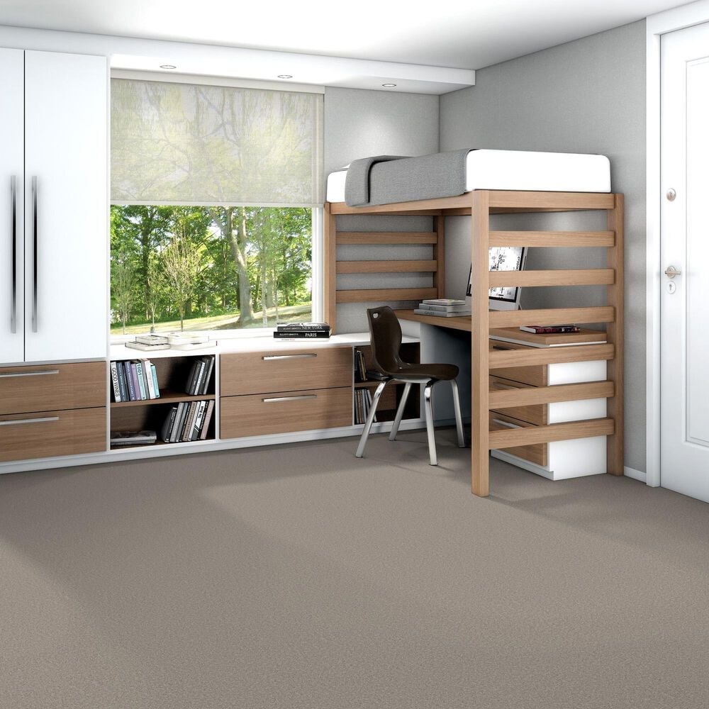 Shaw You Got This III Carpet in Chic Greige, , large
