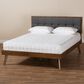 Baxton Studio Alke Queen Platform Bed with Dark Grey Fabric in Walnut Brown, , large