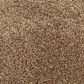 Mohawk Assorted Elements II Carpet in Antique Brown, , large