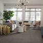 Shaw Bellera Emergence Carpet in Flax, , large