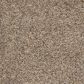 Dream Weaver Confetti II Carpet in Bisque, , large