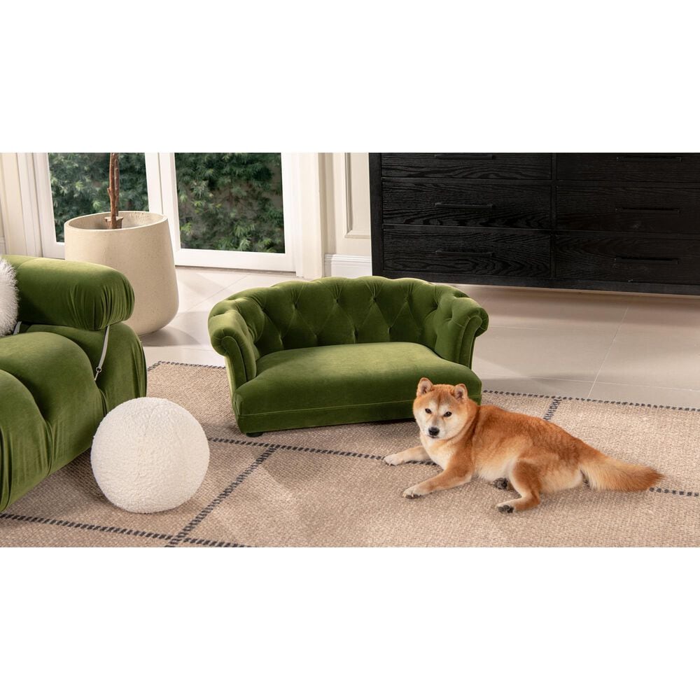 Jennifer Taylor Home Kiki Dog Sofa Bed in Olive Green, , large