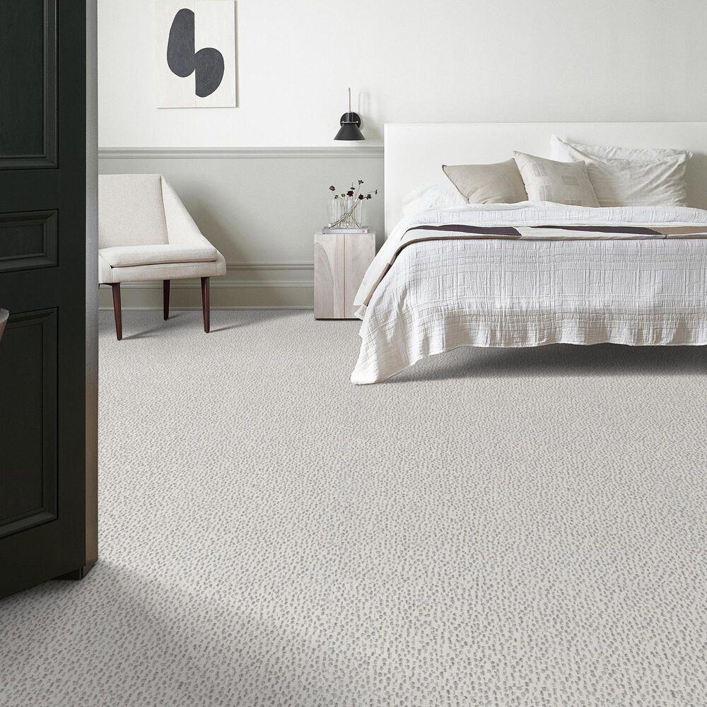 Anderson Tuftex Ambitious Carpet in First Frost, , large