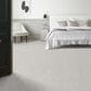 Anderson Tuftex Ambitious Carpet in First Frost, , large