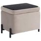 Lifestyle Solutions Kona Small Storage Ottoman in Taupe, , large
