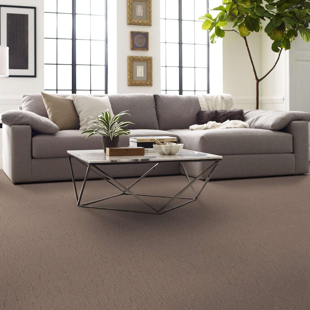 Shaw Calm Expression Carpet in Canoe, , large