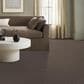 Anderson Tuftex Roamer Carpet in Mustang, , large