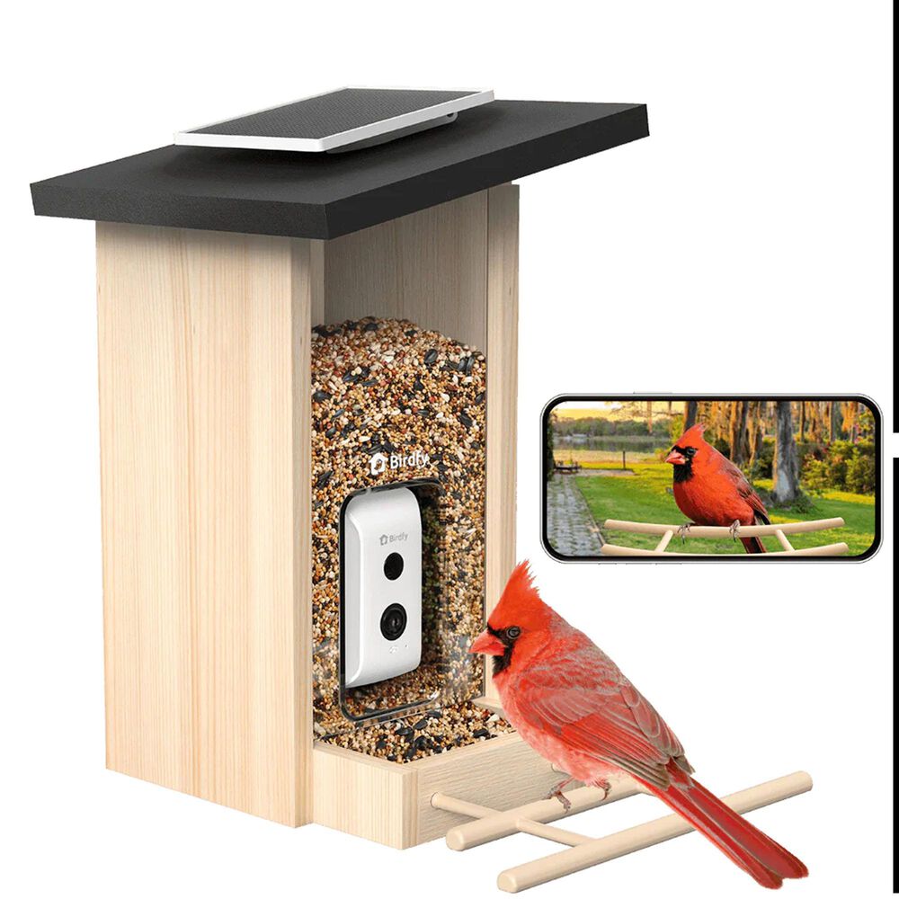 Birdfy Bird Feeder Ebony with Smart Camera and Solar Panel in Brown and Black, , large