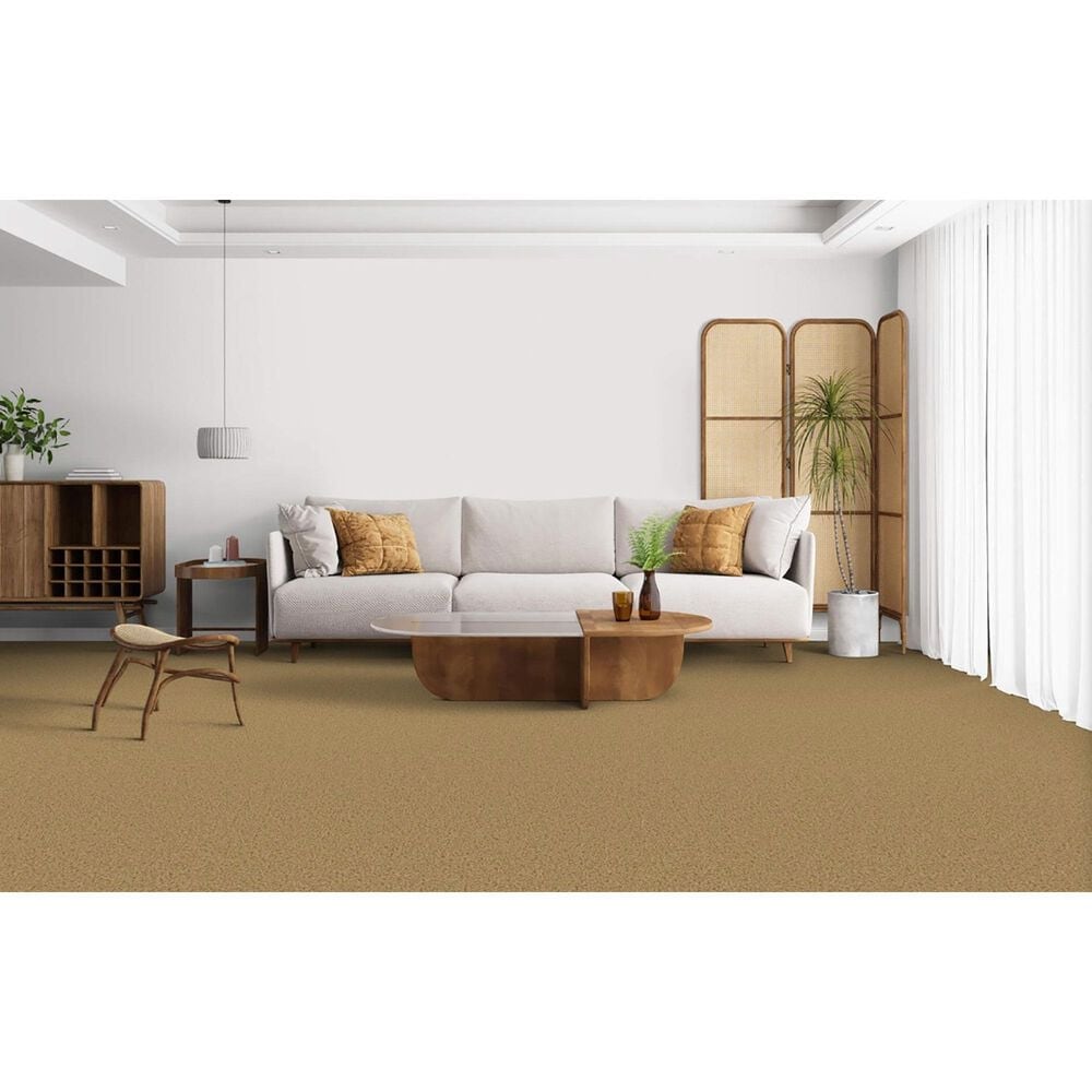 Masland Indulgence Carpet in Anzac, , large