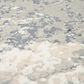 RIZZY Chelsea 2"7" x 9"6" Cream/Gray Runner, , large