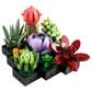 LEGO Botanicals Collection Succulents, , large
