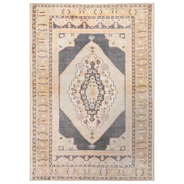 Oriental Weavers Sofia Logan 85823 1"9" x 2"10" Grey and Gold Scatter Rug, , large