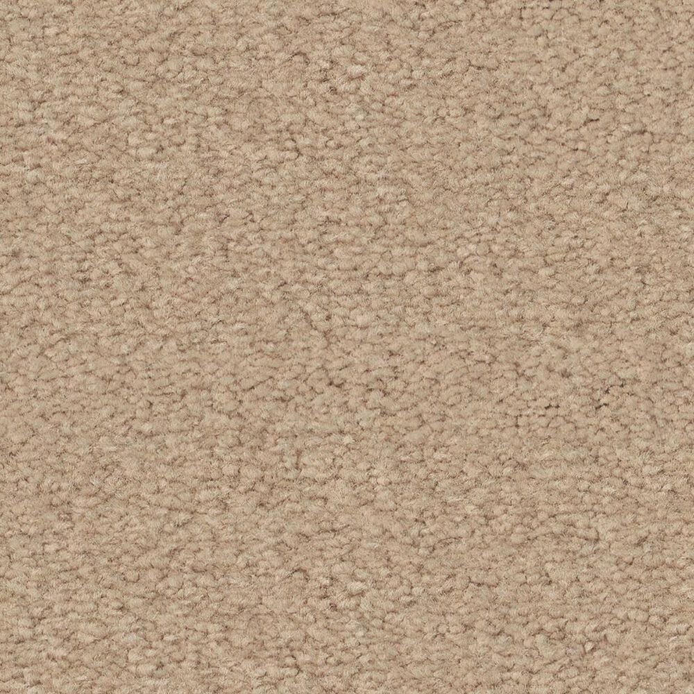 Anderson Tuftex Finery Carpet in Sunkissed, , large