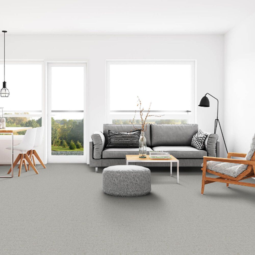 Dixie Home Genuine Carpet in Genuine, , large