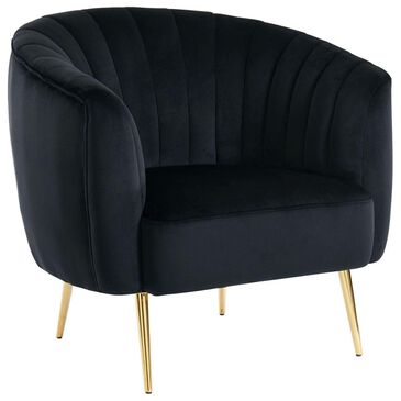 Furniture of America Calitria Accent Chair in Black, , large