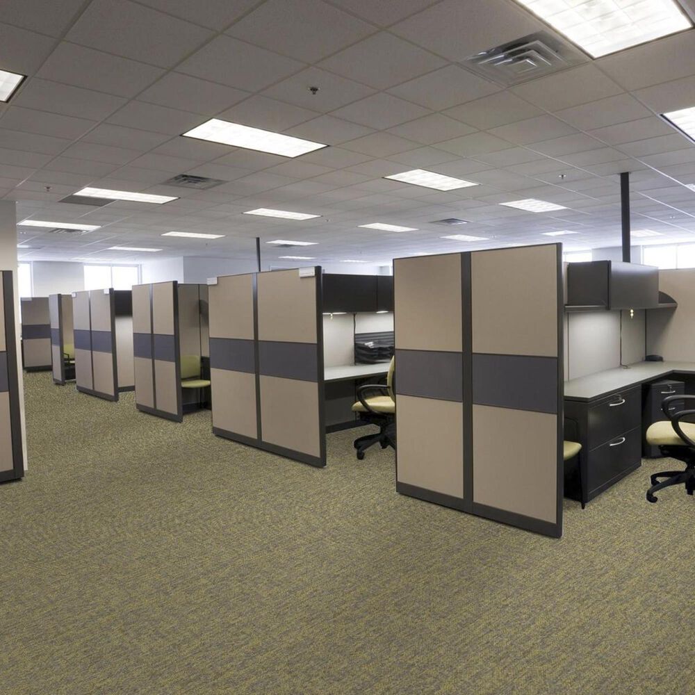 Shaw Crazy Smart 18&quot; x 36&quot; Carpet Tile in Radiant, , large