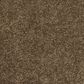 Anderson Tuftex Barracan Classic I Carpet in Tobacco Leaf, , large