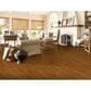 Robbins Natural Forest Gunstock Oak Solid Hardwood, , large