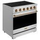 Thor Kitchen Gordon Ramsay 6 Cu. Ft. Professional Freestanding Electric Range with Bronze Handle Kit in Stainless Steel, , large