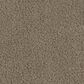 Phenix In The Details Carpet in Genuine, , large