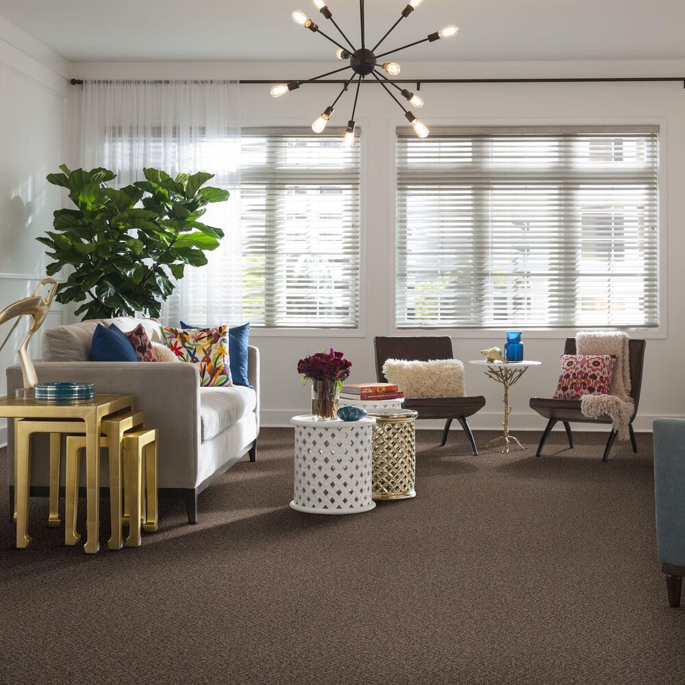 Philadelphia Mixed Essentials Carpet in Primitive, , large