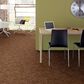 Anderson Tuftex Caress Free Spirit Carpet in Sunbaked, , large